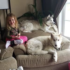 Meet your Posher, Arlene